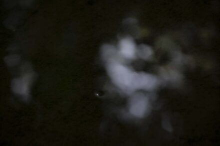 Fotografie door Tamara De Prest - een foto genomen van een plas water. De lichtinval in het water is wazig. Een luchtbel is scherp. De foto is donker.